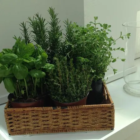 Szálloda Astoria Garden