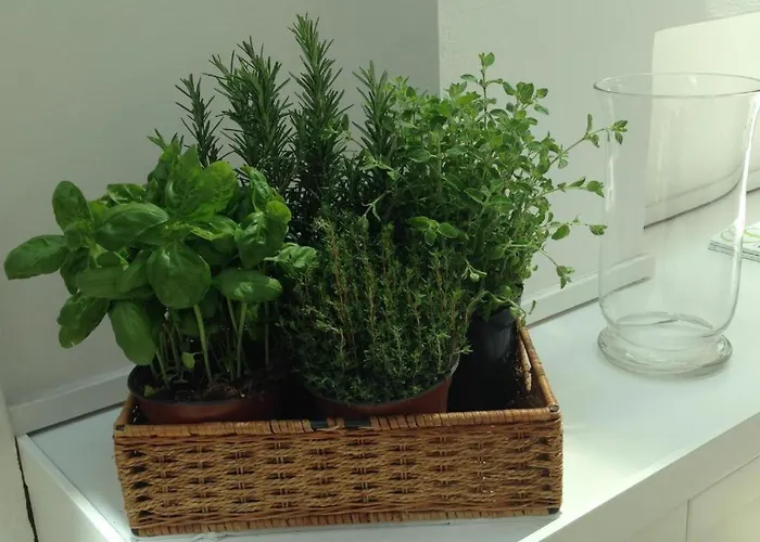 Hotel Astoria Garden